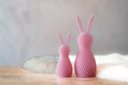 Bunny Multicolor Duo | Curved Lines | 3D Printed Design Decor