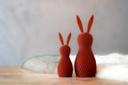 Bunny Multicolor Duo | Curved Lines | 3D Printed Design Decor